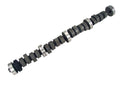 Dual Energy Hydraulic Flat Tappet Camshaft Q149863