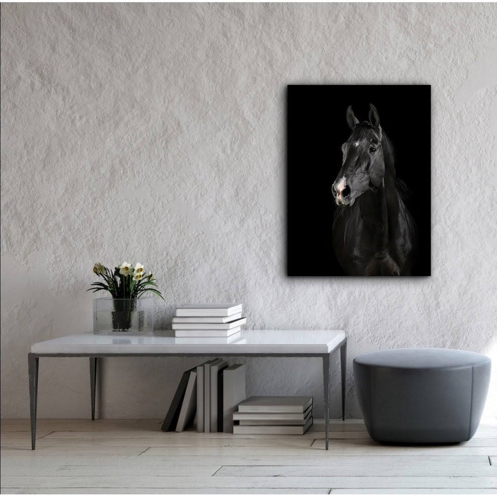 Black Horse Face Canvas Art 30 x 40 in. R205761