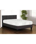 King Pocket Coil Mattress G359