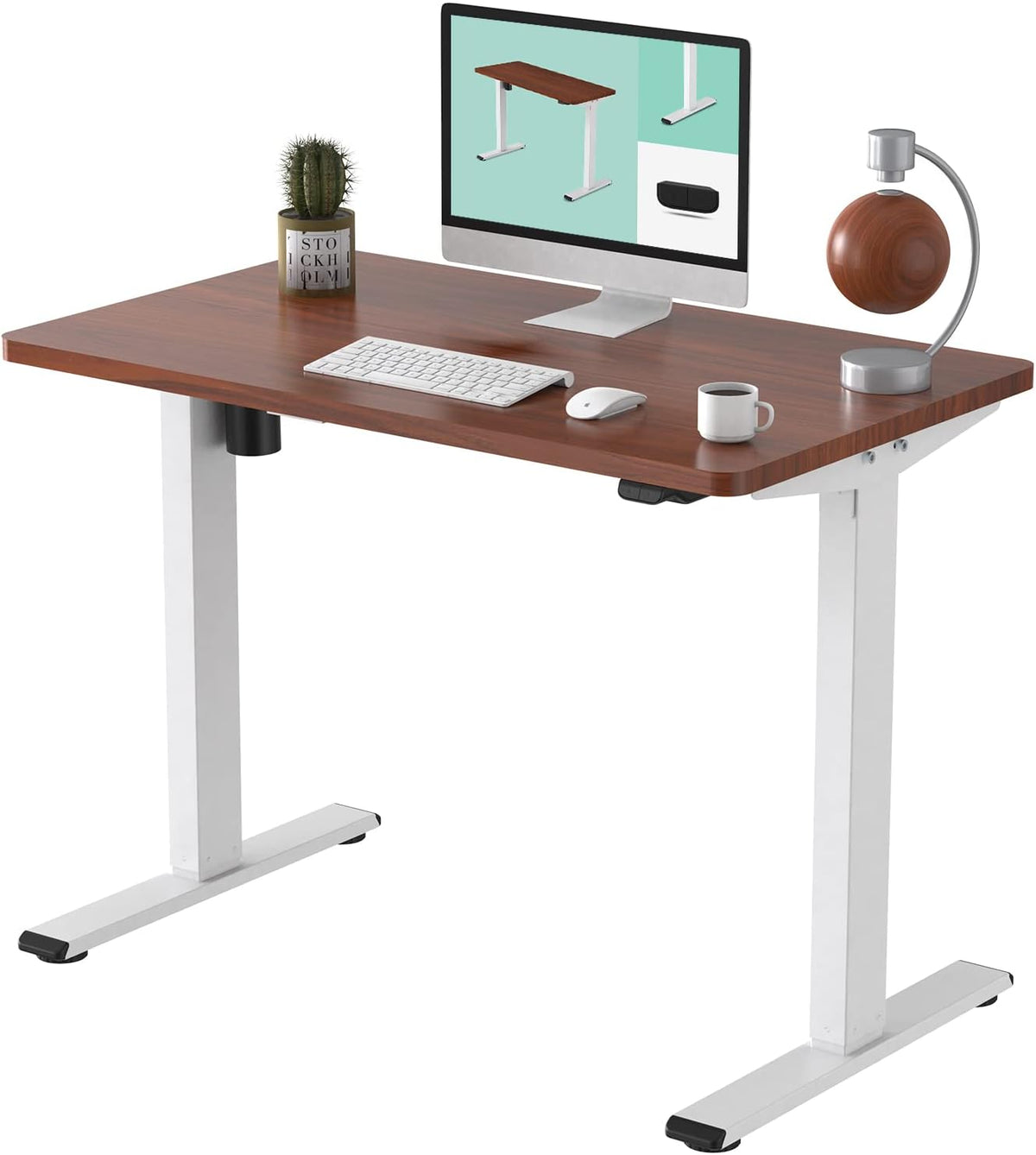 White Standing Desk 48 x 30 Inches S315040