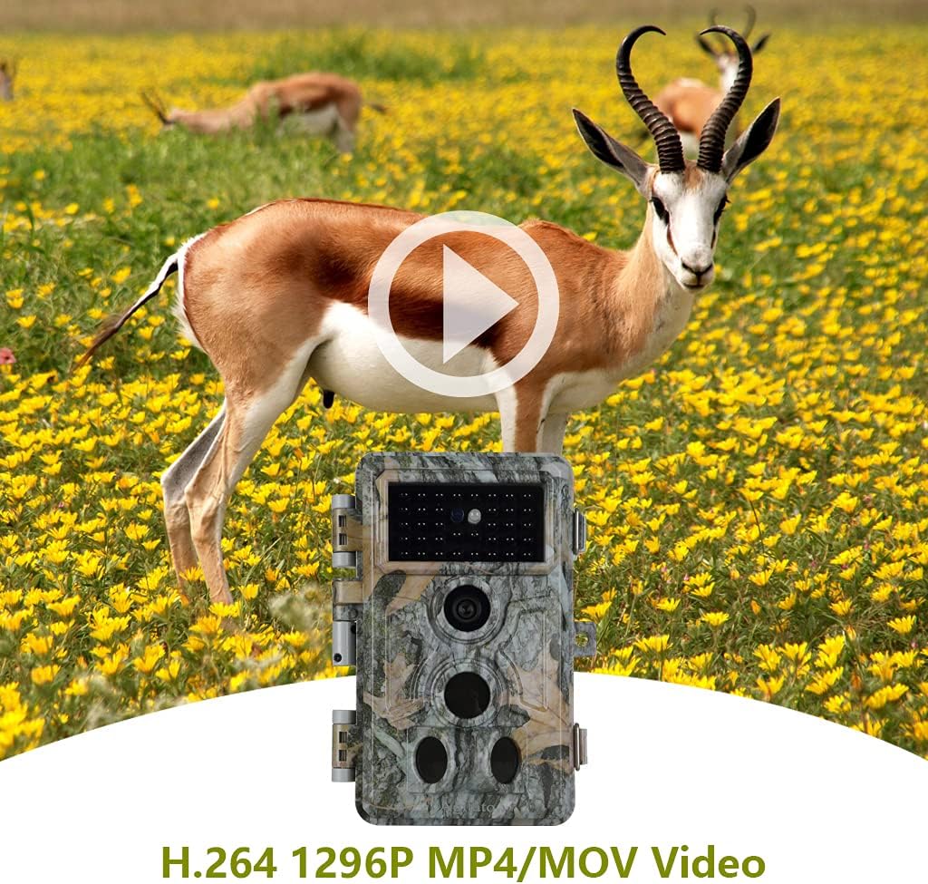 2-Pack 24MP 1296P Night Vision Motion Activated Waterproof Deer Cameras S46598