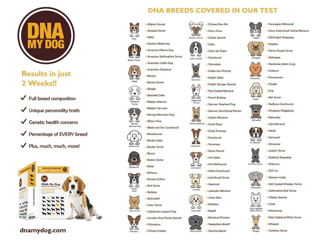 Breed Identification Test Kit W598