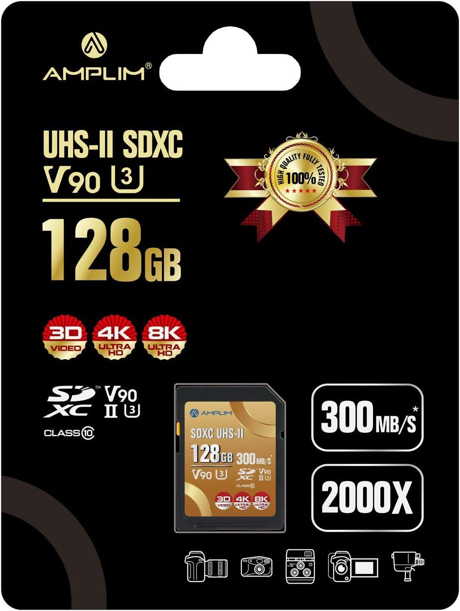 256GB V60 UHS-II SDXC Memory Card Z9686