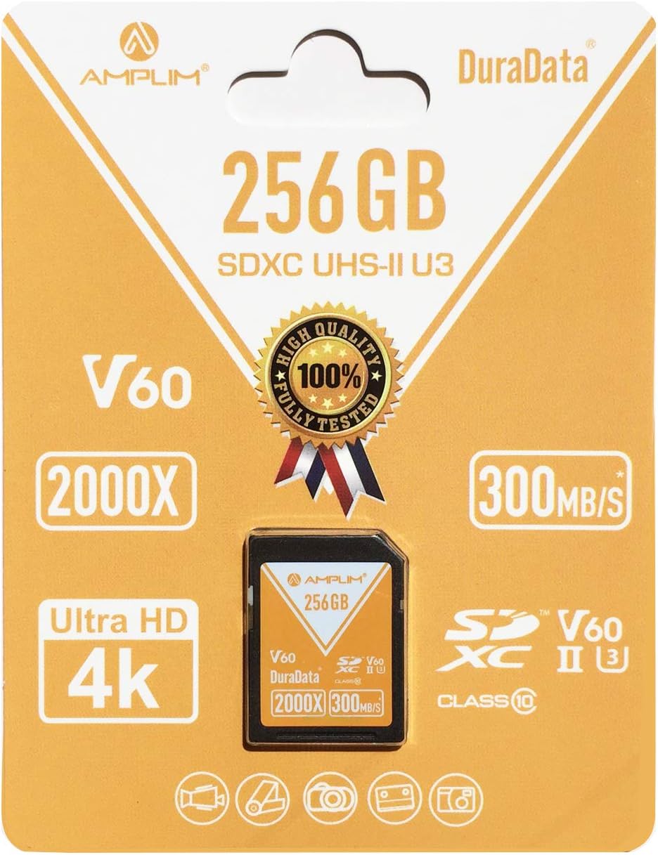 256GB V60 UHS-II SDXC Memory Card Z9686