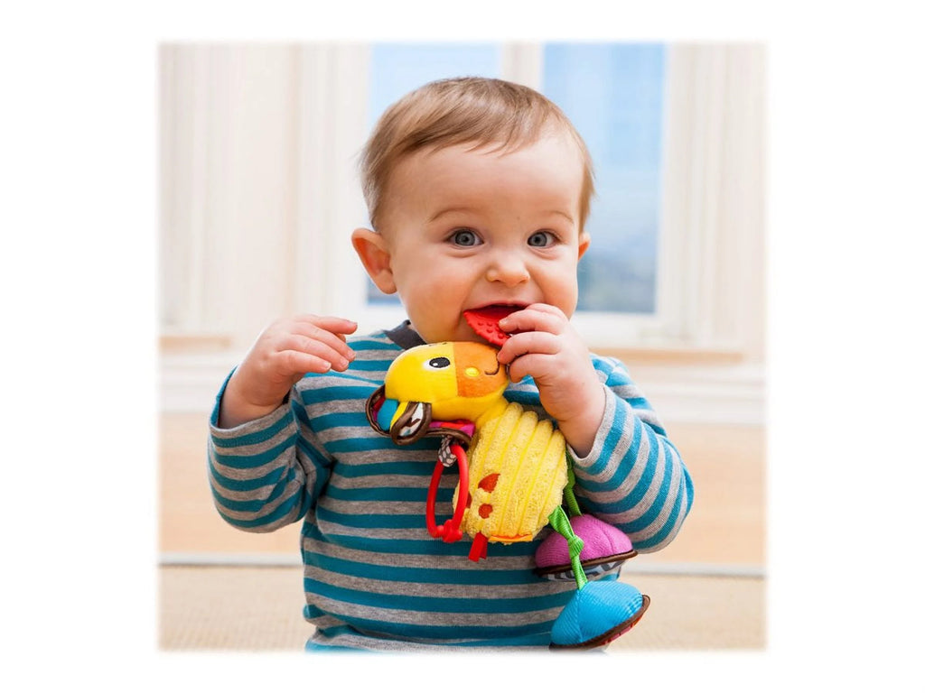 Jittery Pal Pull Toy C22246