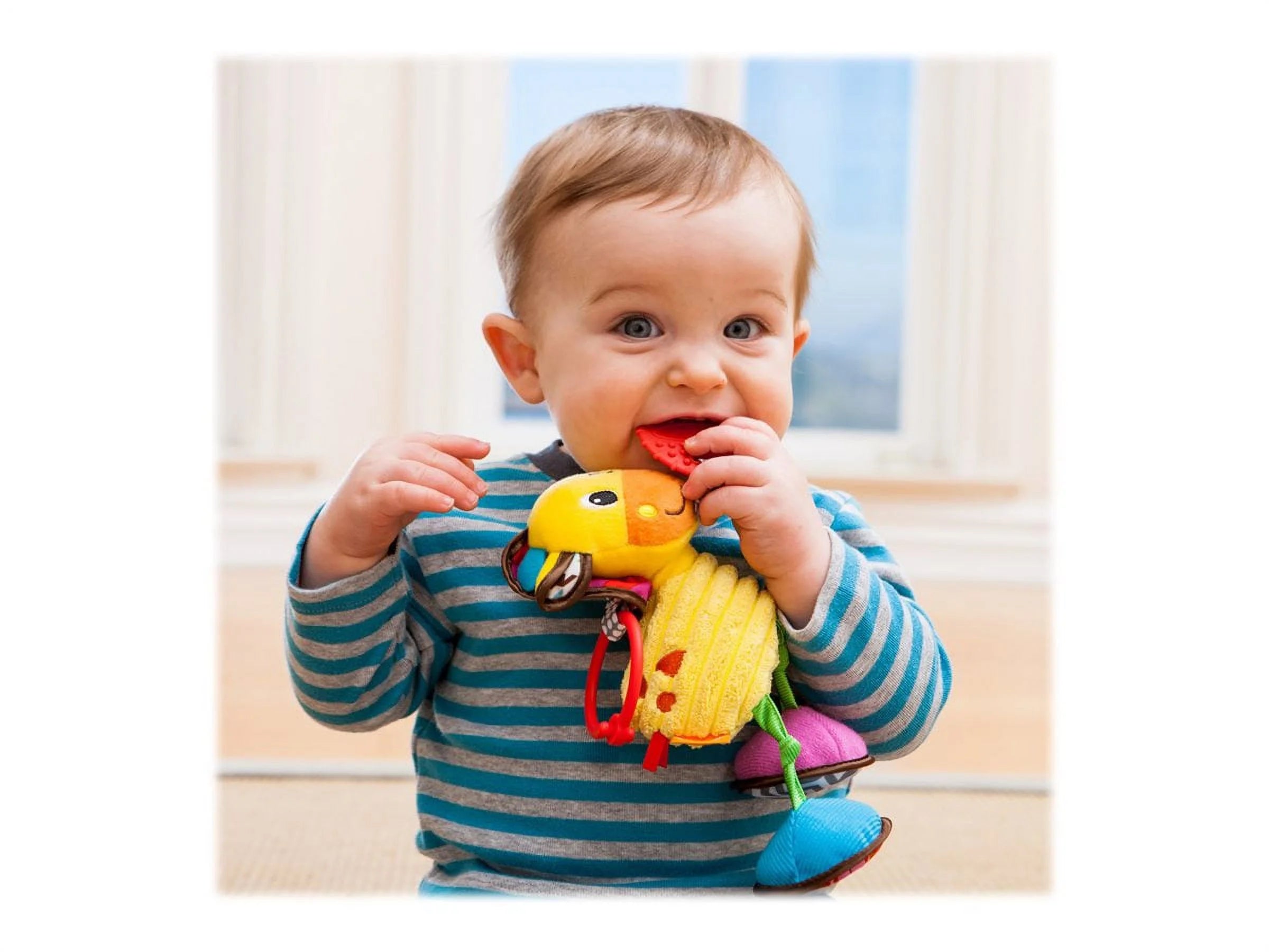 Jittery Pal Pull Toy C22246