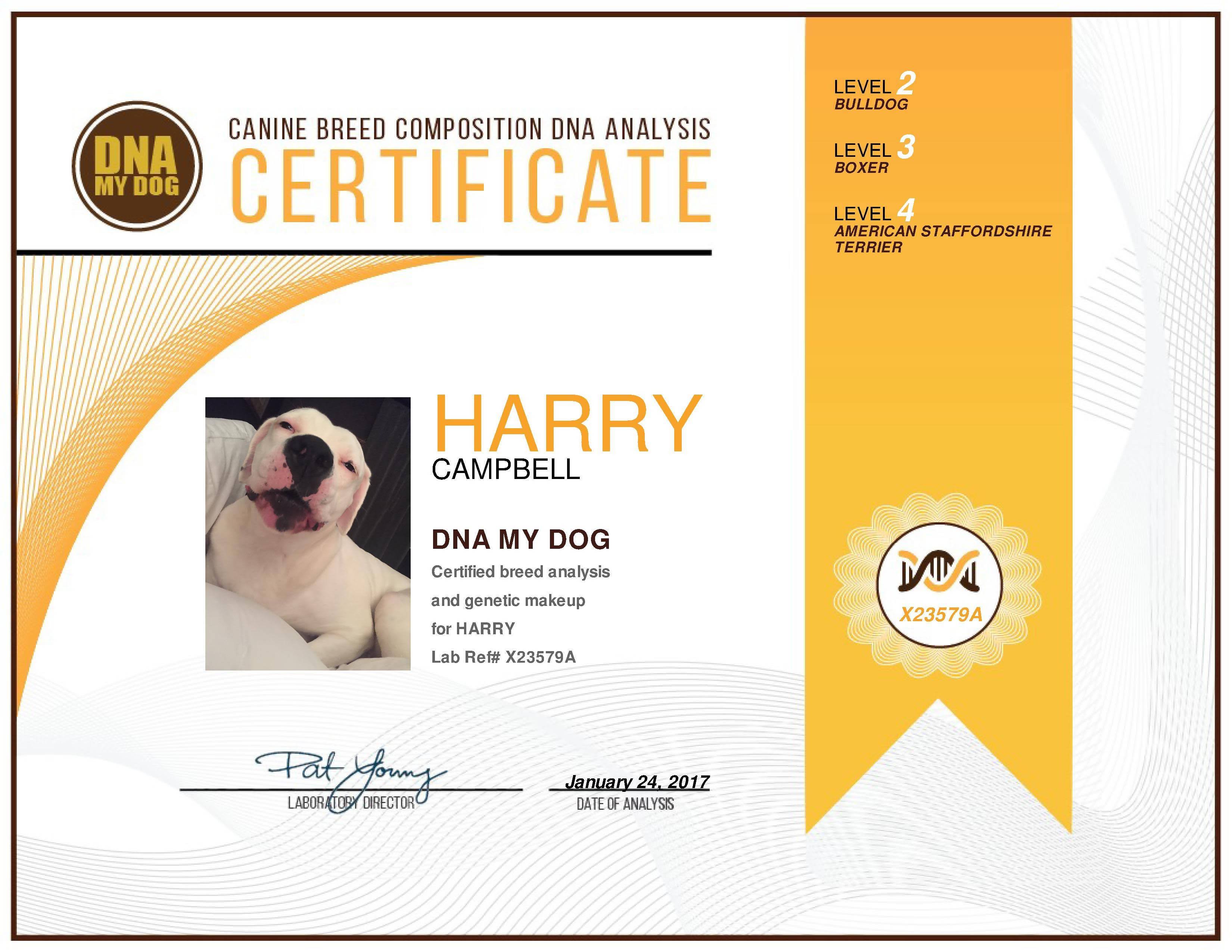 Breed Identification Test Kit W598