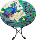 Deep Hand Painted Glass Plate, 18 by 3-Inch B3574