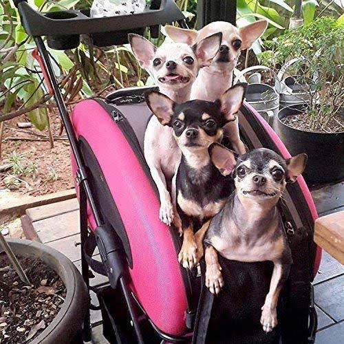 5-in-1 Pet Carrier with Backpack and Shoulder Strap J125304
