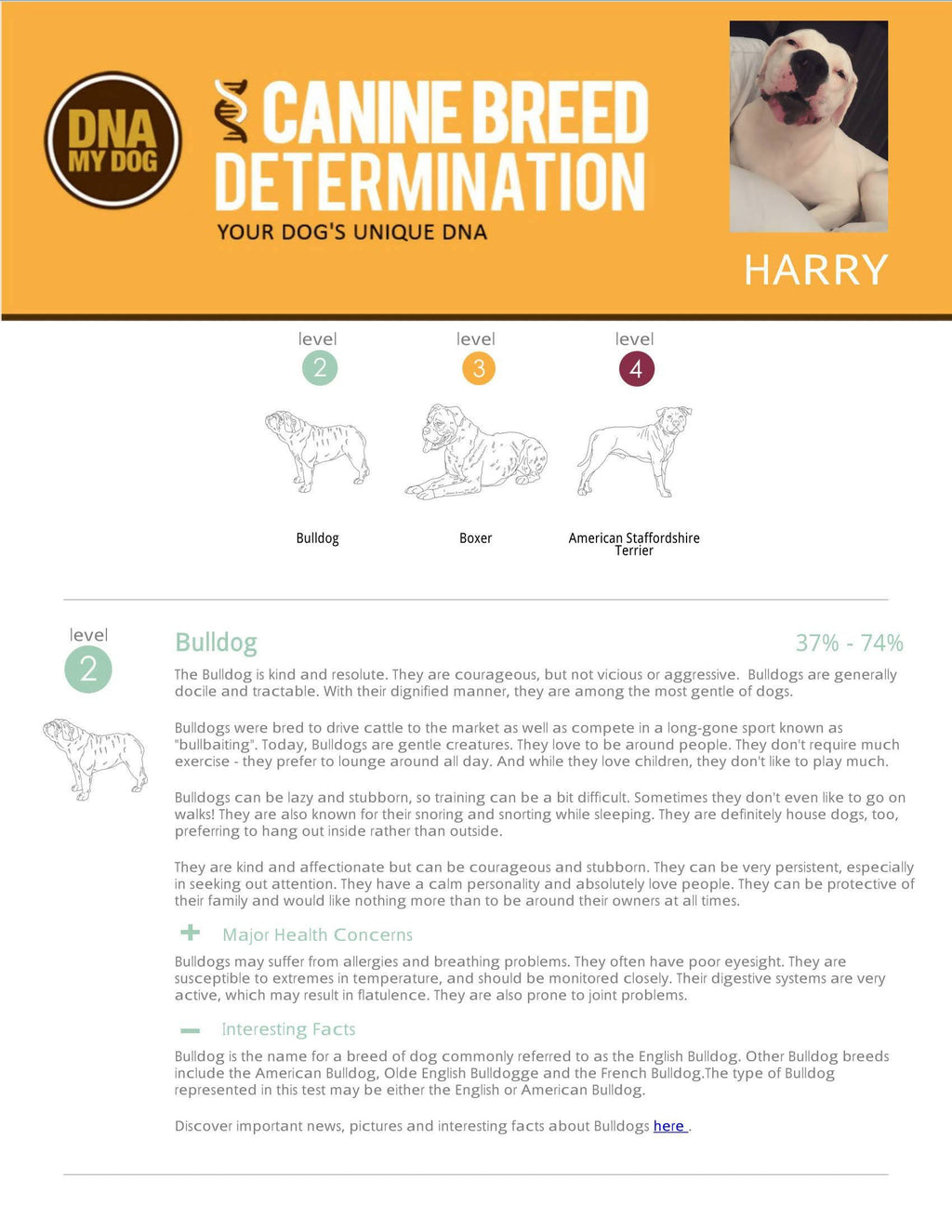 Breed Identification Test Kit W598