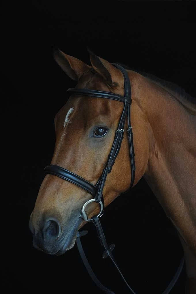 Padded Raised Cavesson Bridle - Black - COB L133