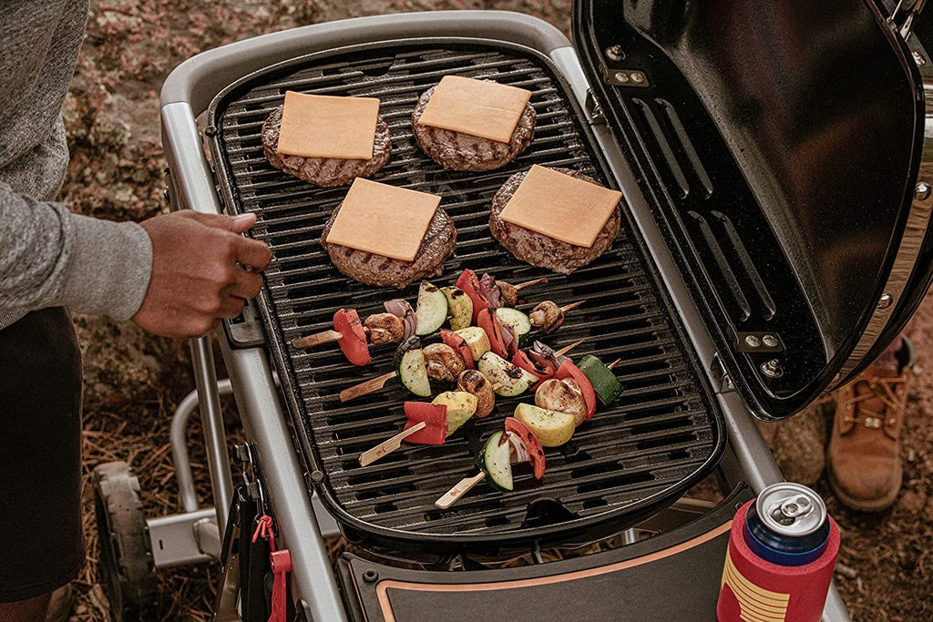 Portable Gas Grill L627