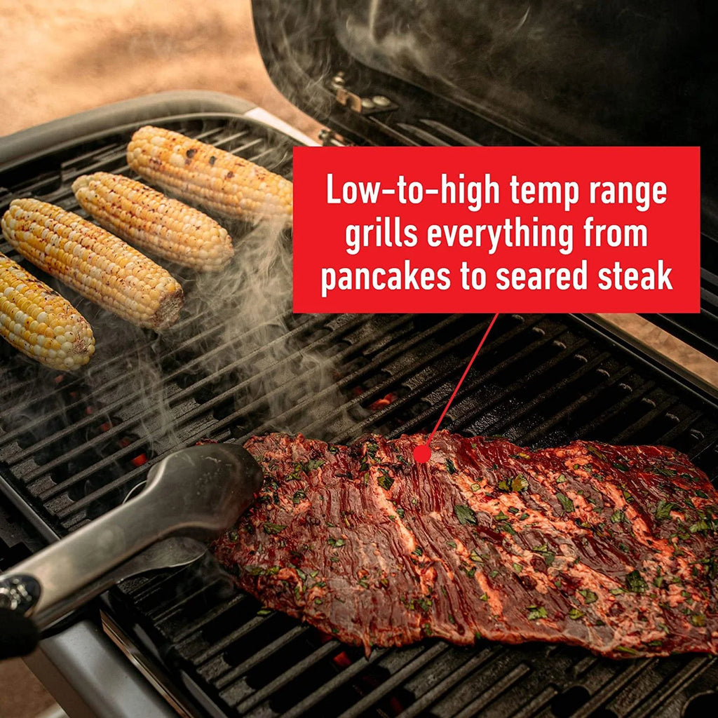 Portable Gas Grill L627