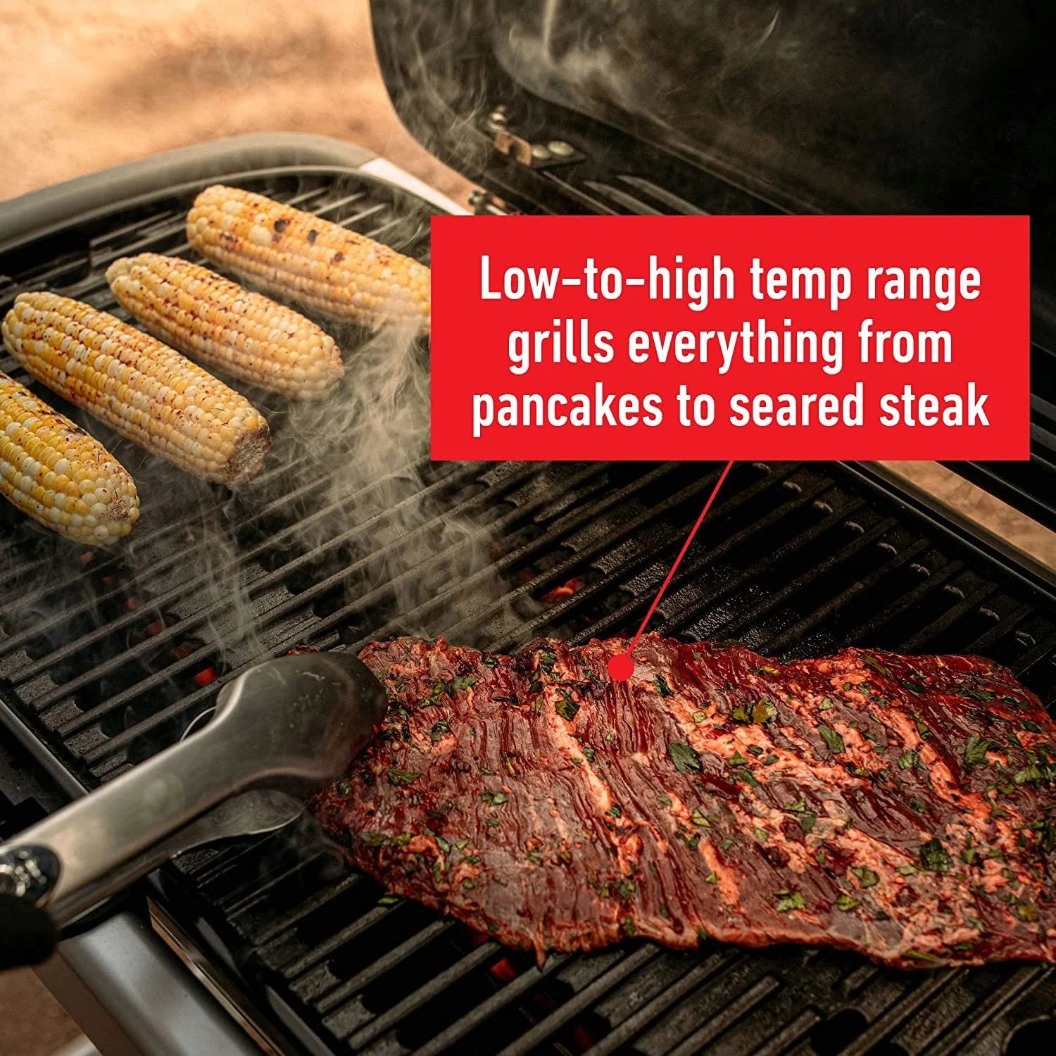 Portable Gas Grill L627