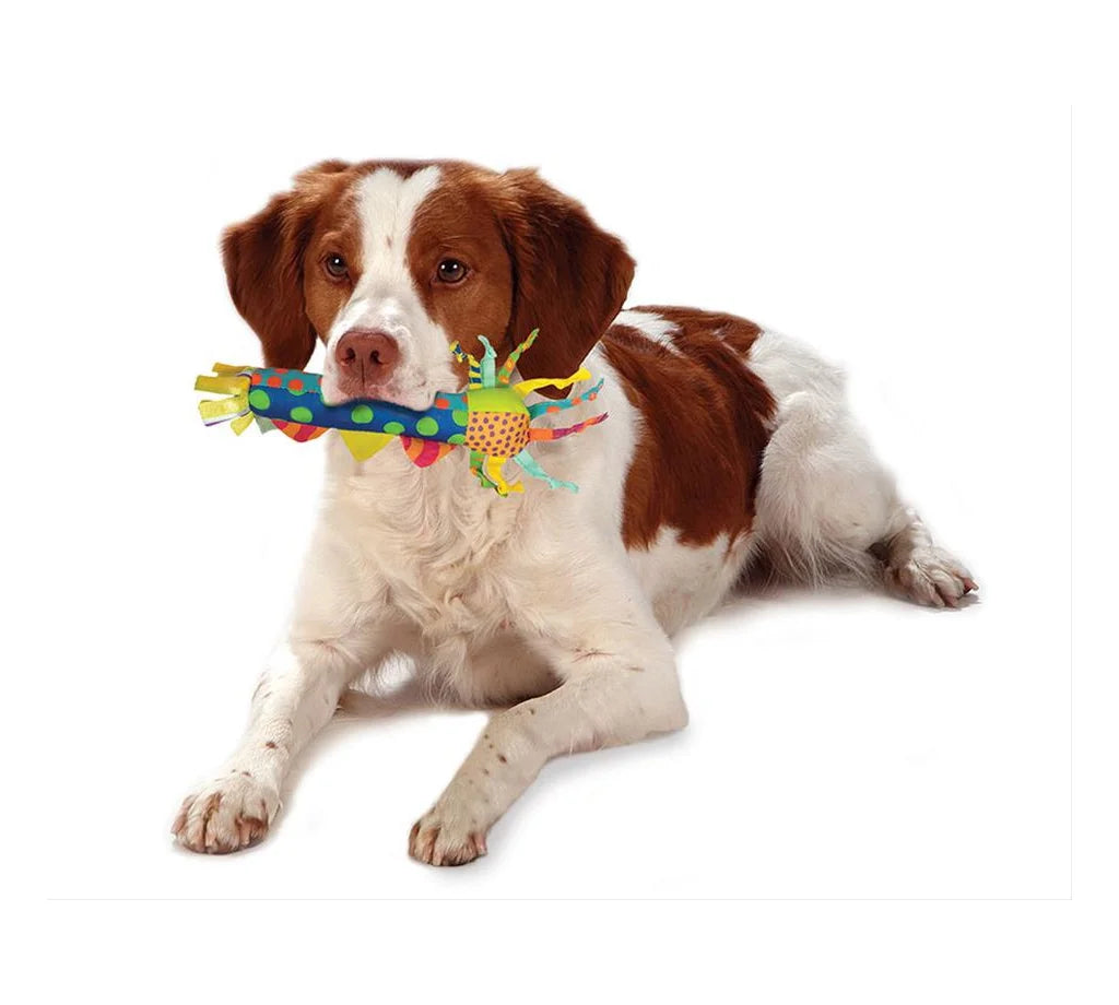 Cool Teething Stick Dog Toy L60826