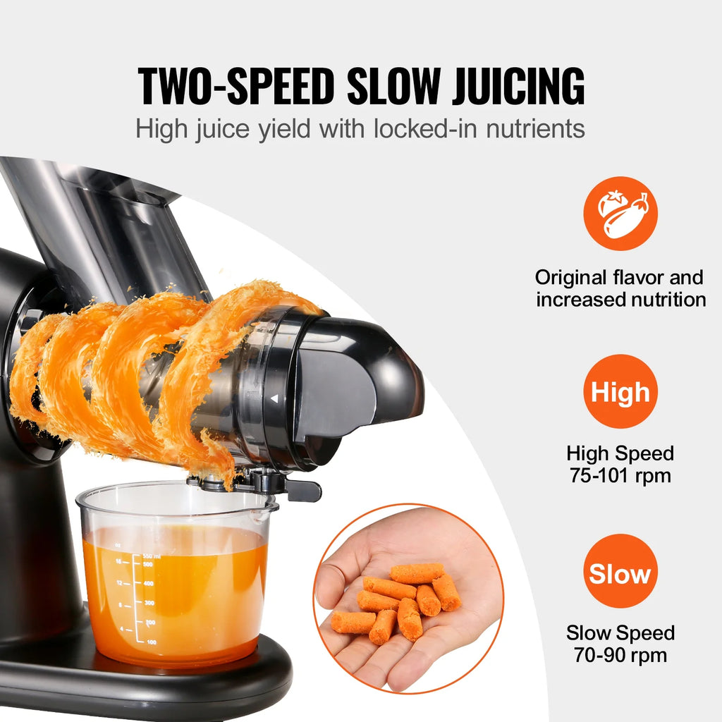 Masticating Slow Juicer Electric Cold Press T272