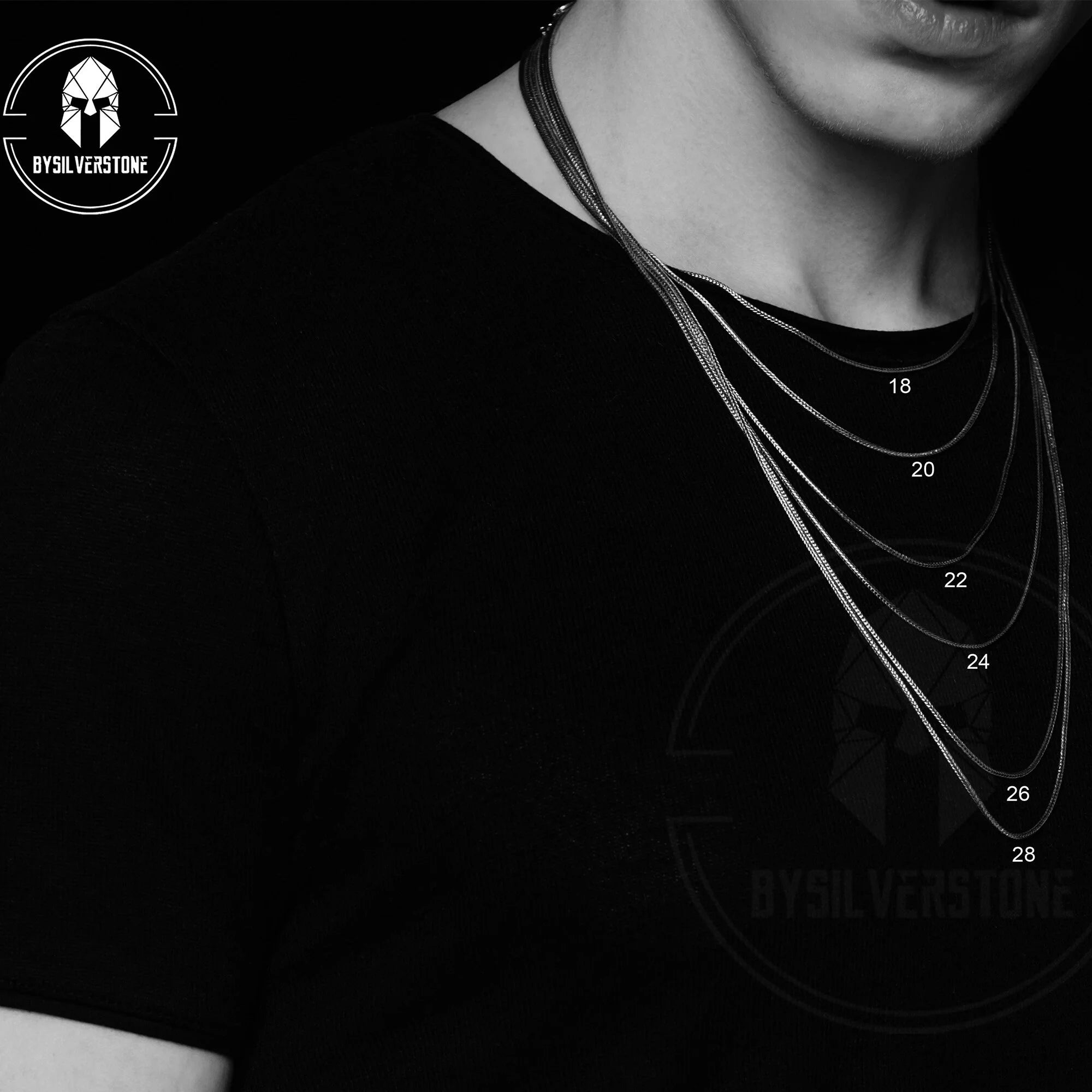 Silver Zodiac Coin Necklace Q757201