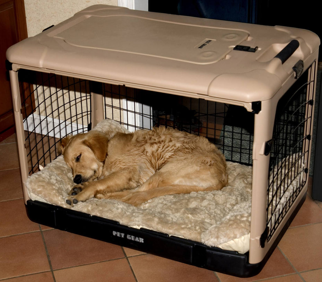 Medium Steel Dog Crate with Pad E899