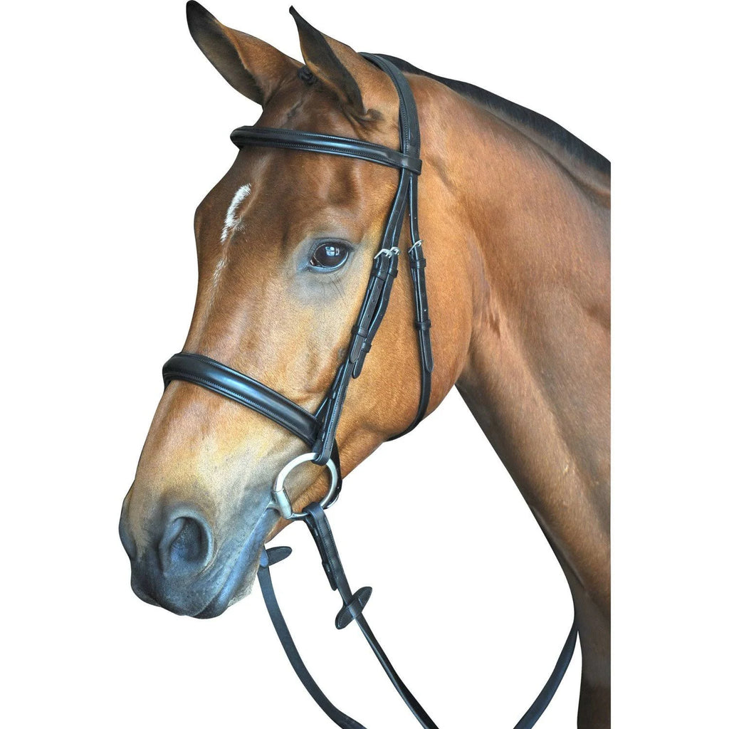 Padded Raised Cavesson Bridle - Black - COB L133