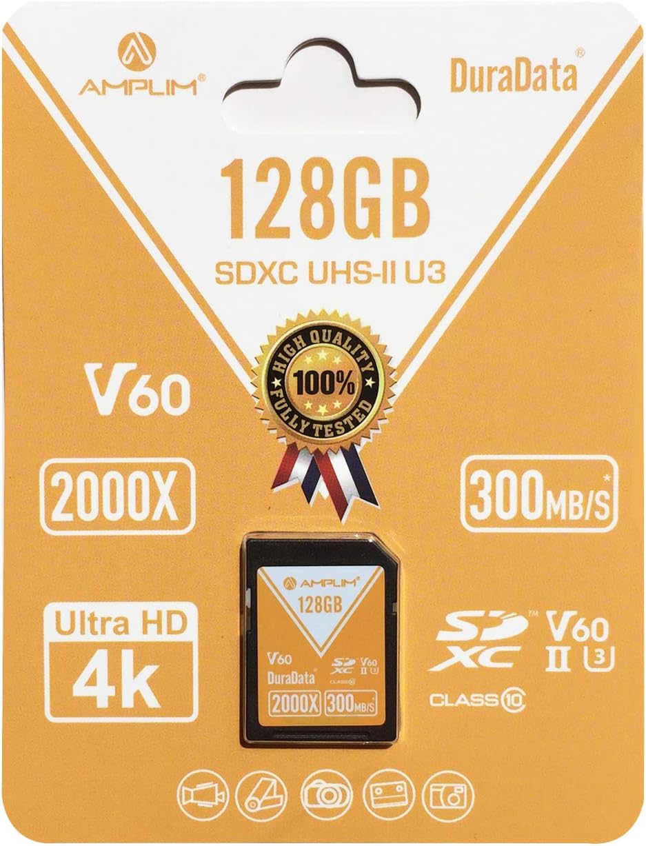256GB V60 UHS-II SDXC Memory Card Z9686