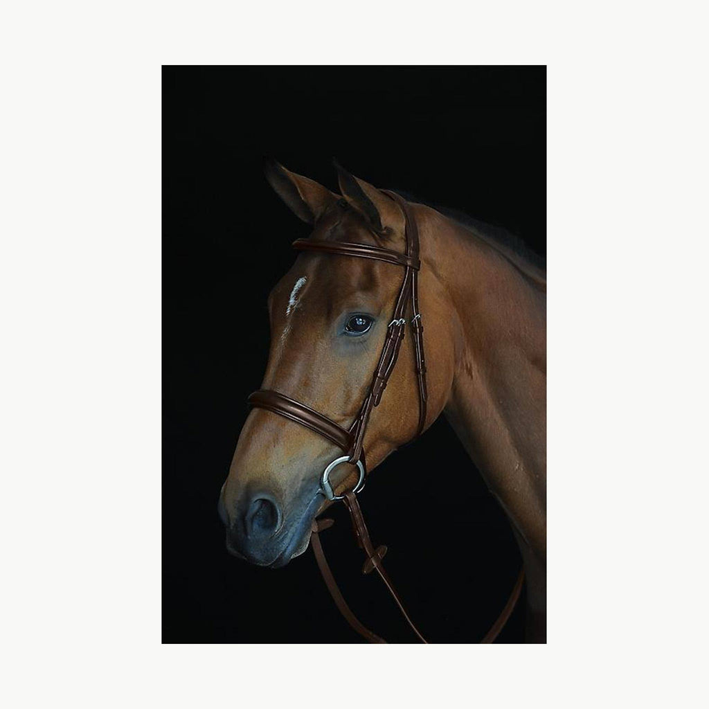Padded Raised Cavesson Bridle - Black - COB L133