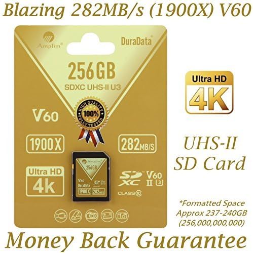 256GB V60 UHS-II SDXC Memory Card Z9686