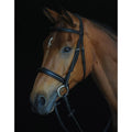 Padded Raised Cavesson Bridle - Black - COB L133