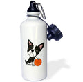 21-ounce Water Bottle N6586