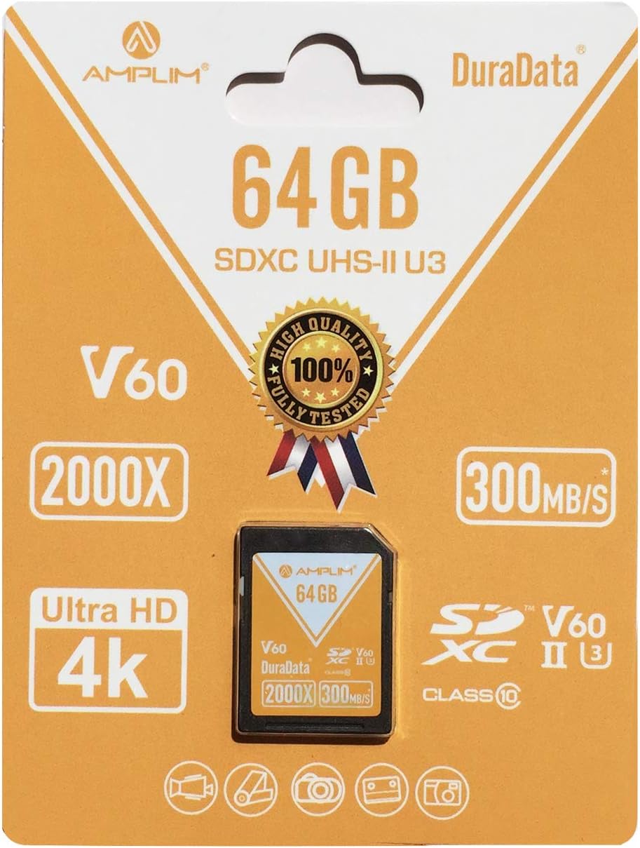 256GB V60 UHS-II SDXC Memory Card Z9686