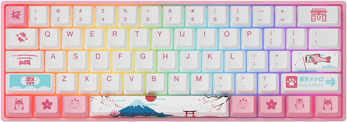 60% Wired Hotswap Mechanical Gaming Keyboard with RGB Backlight, Dye Sublimation PBT Keycaps, Gateron Pink Switch, 61 Keys B6155