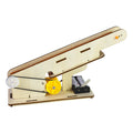 Conveyor Belt Model Stem Project Y975