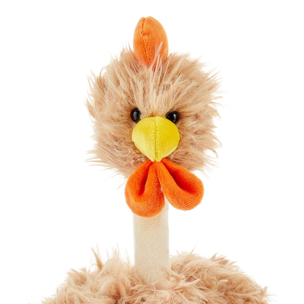 18 in Brown and Orange Fuzzy Chicken Plush T462