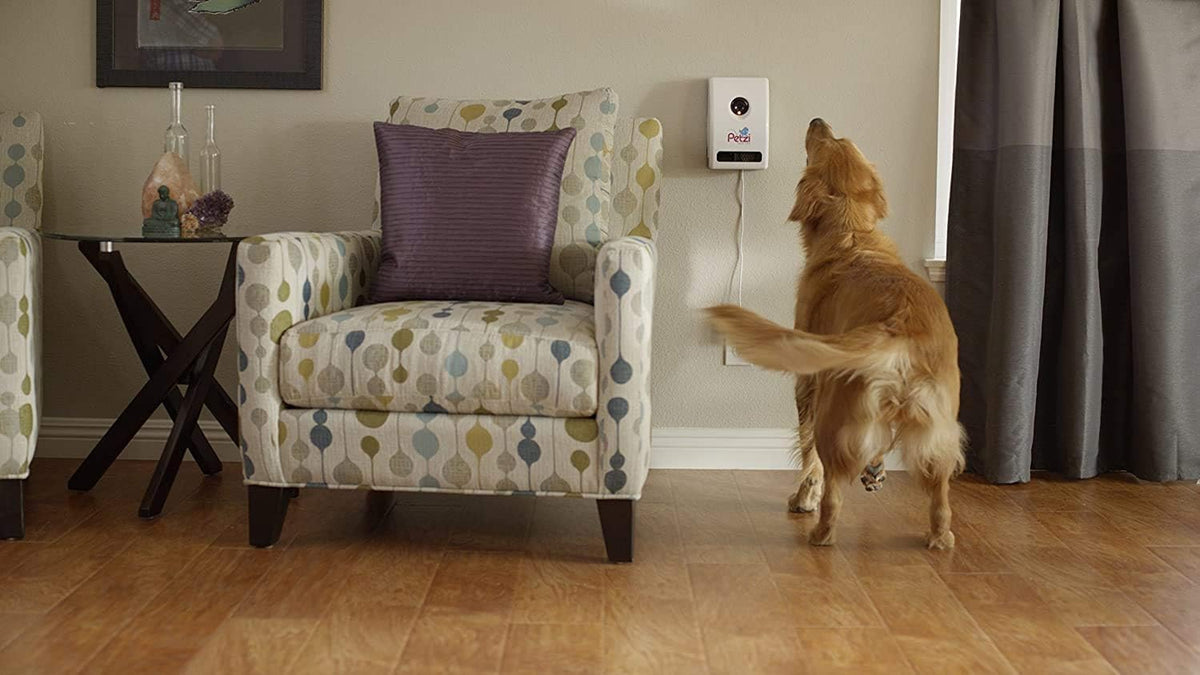 Wi-Fi Pet Camera & Treat Dispenser U56626