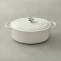 Matte White Cast Iron Oval Dutch Oven L595644