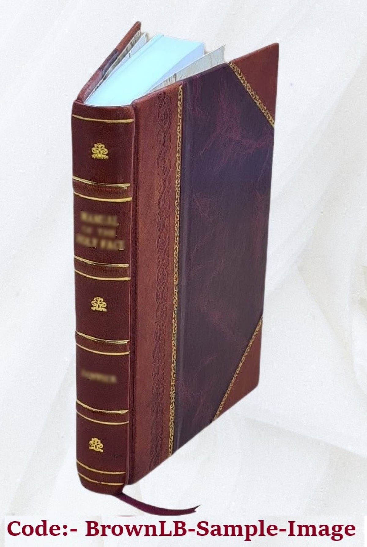A Mission to Gelele, King of Dahome: With Notices of the So Called "Amazons," the Grand Customs ... 1864 [Leather Bound] P844023
