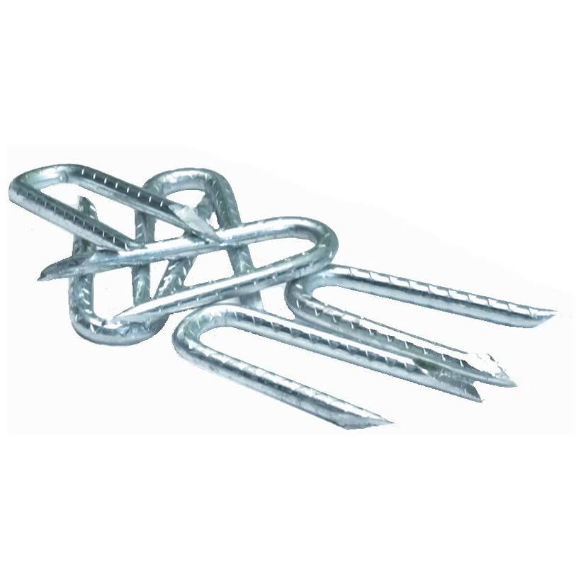 50 lb Bright Fence Staples G2112