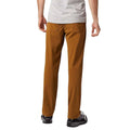 Golden Brown Men's Pant B450597