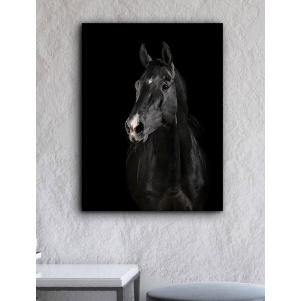 Black Horse Face Canvas Art 30 x 40 in. R205761
