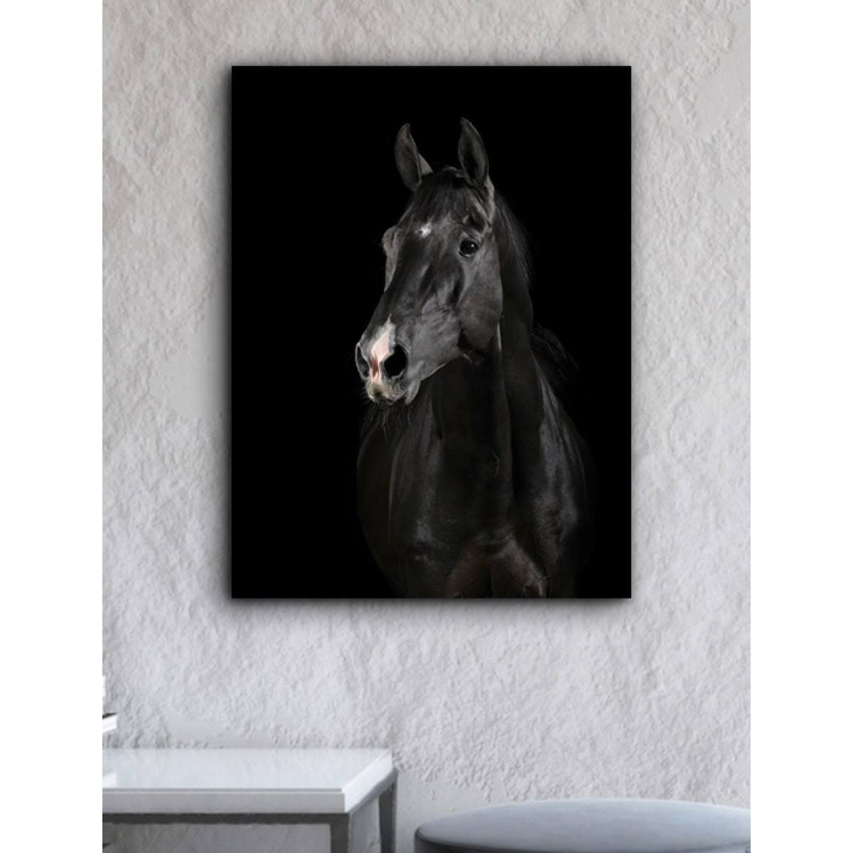 Black Horse Face Canvas Art 30 x 40 in. R205761